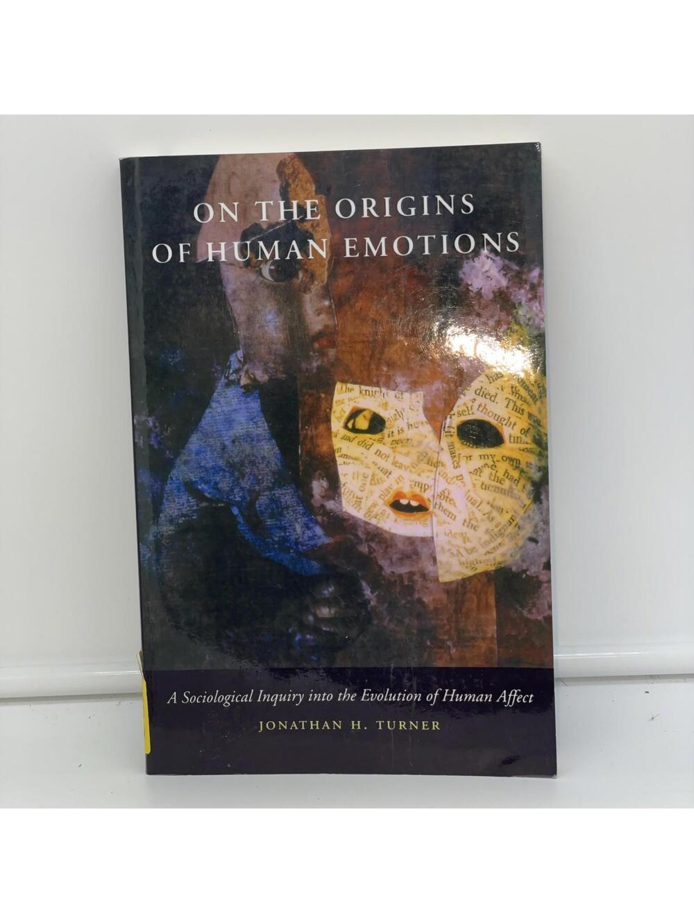 On the Origins of Human Emotions : A Sociological Inquiry into the Evolution of